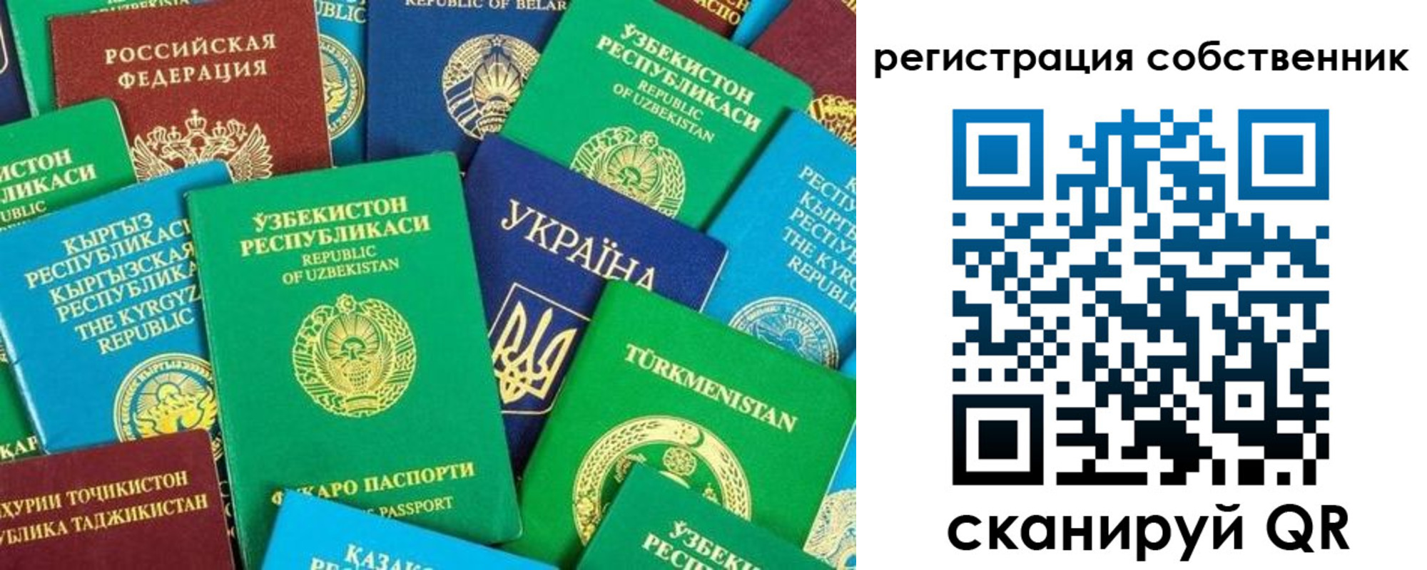 прописка в Малой Вишере