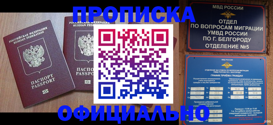 найти адрес прописки в Малой Вишере